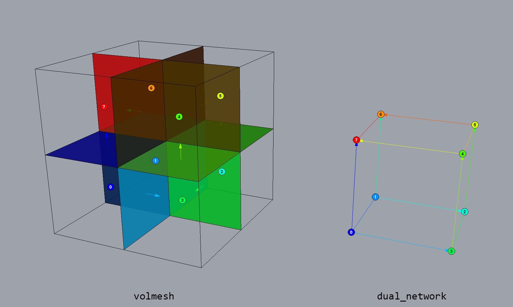 ../../_images/02_20_duality_volmesh_network_screenshot.jpg