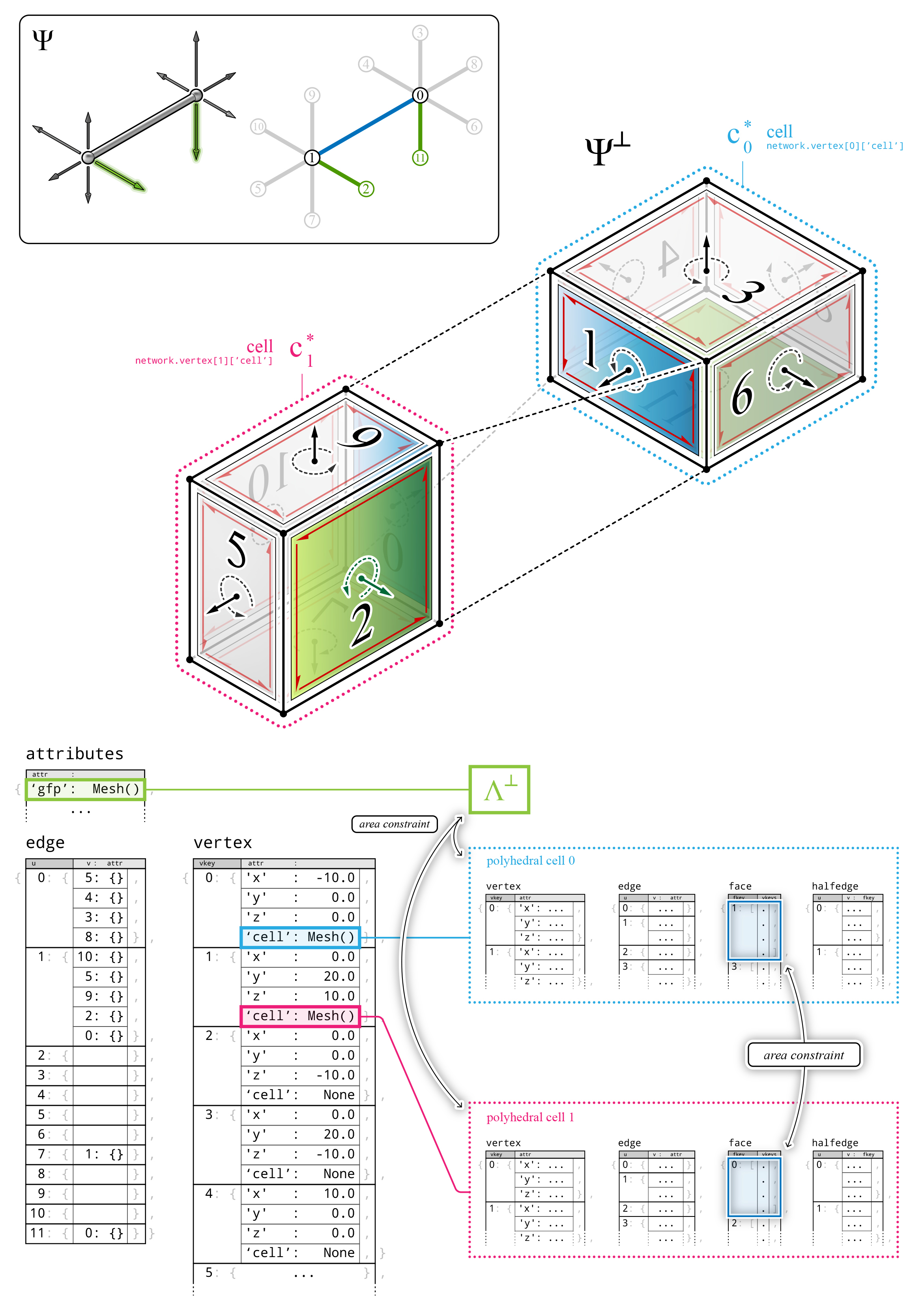 ../../_images/compas_3gs_datastructure_cell_network.jpg