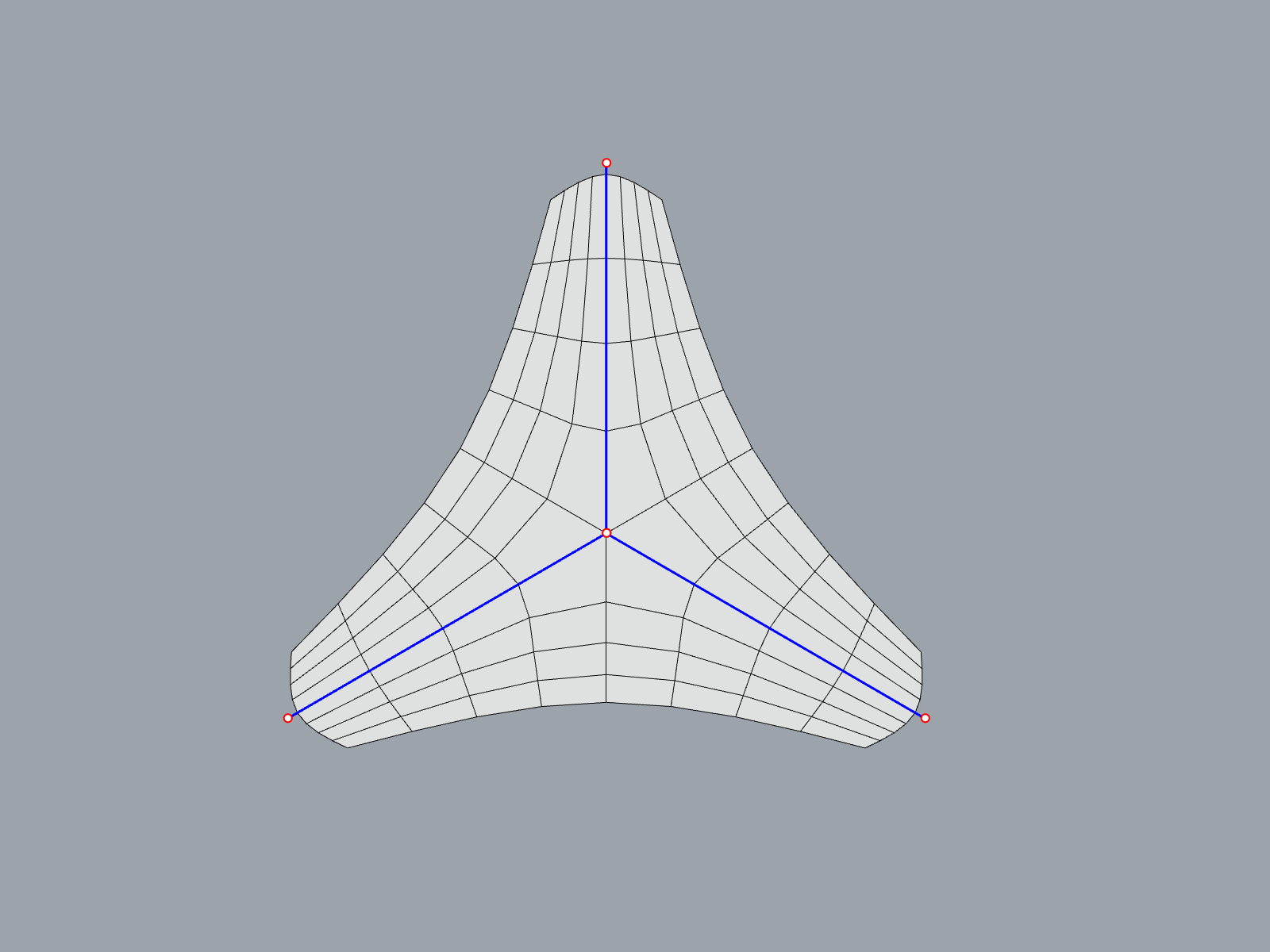 ../_images/branch_skeleton.png