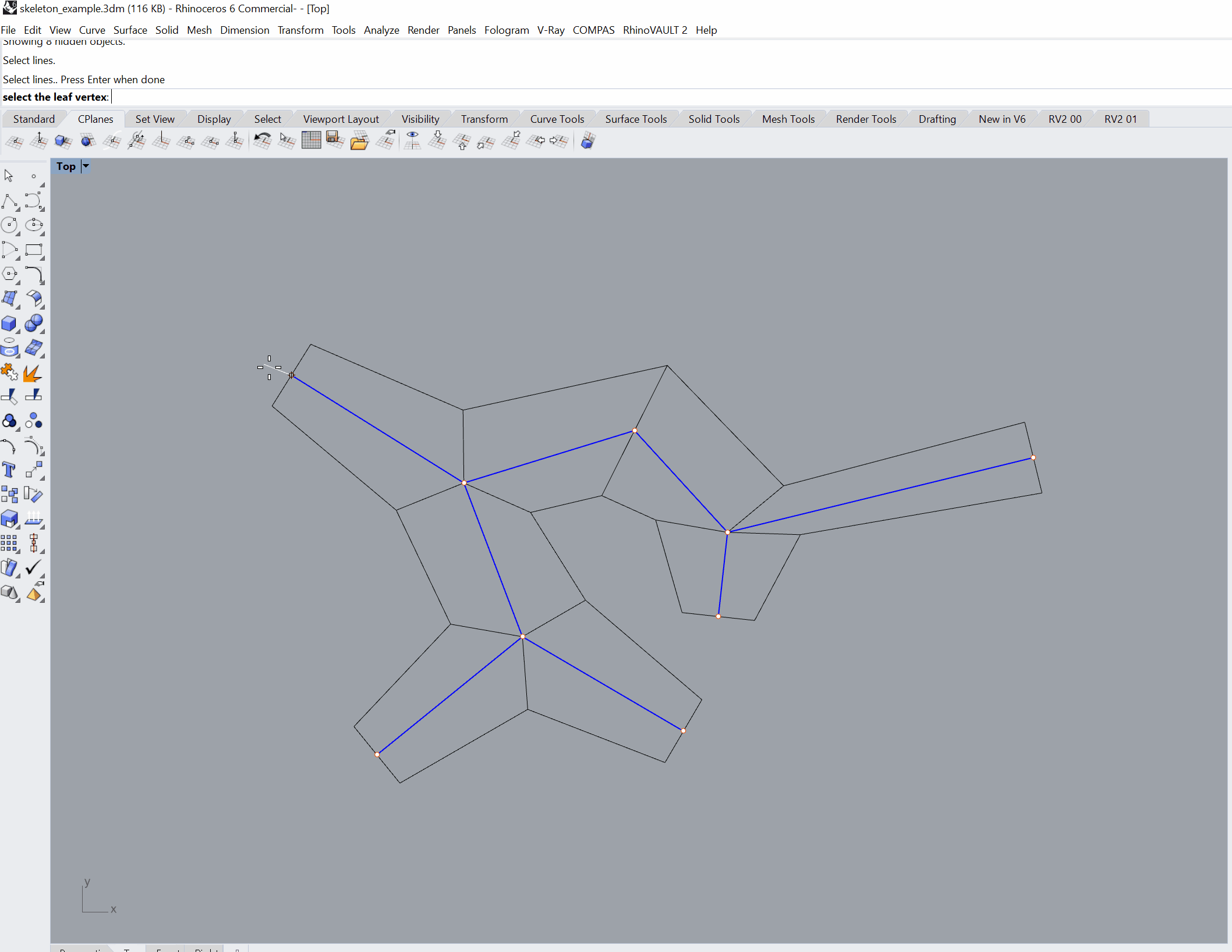 _images/skeleton_leaf_width.gif